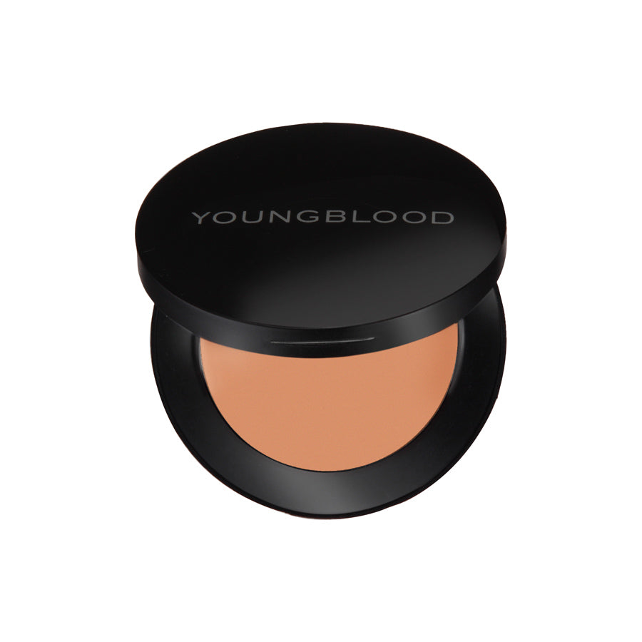 YB Ultimate Concealer